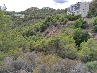 PRINCIPAL DE LA SIERRA 13