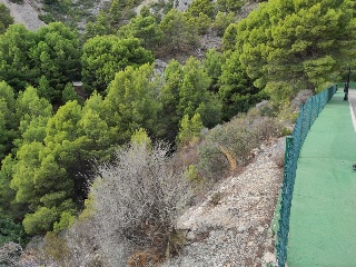 PRINCIPAL DE LA SIERRA 18