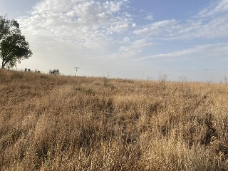 Calle PANORAMA2-4 3