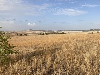 Calle PANORAMA2-4 4