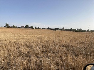 Calle PANORAMA2-4 7