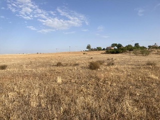 Calle PANORAMA2-4 8
