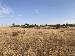 Calle PANORAMA2-4 9