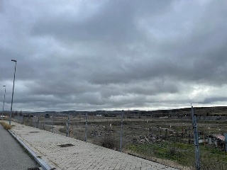 CRISANTEMO Suelo 2-E/P2 3