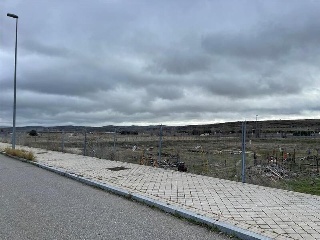 CRISANTEMO Suelo 2-E/P2 5