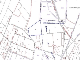 LO MESEGUER. LOS MONTESINOS 3