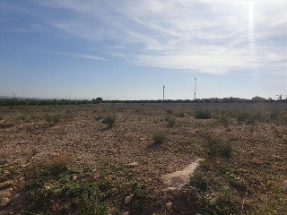 LO MESEGUER. LOS MONTESINOS 4