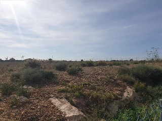 LO MESEGUER. LOS MONTESINOS 5