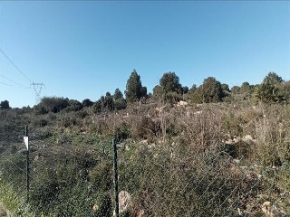 LO MESEGUER. LOS MONTESINOS 9