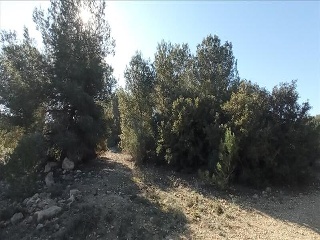 LO MESEGUER. LOS MONTESINOS 11