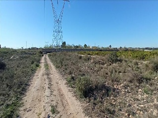 LO MESEGUER. LOS MONTESINOS 13