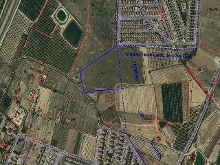 LO MESEGUER. LOS MONTESINOS 14