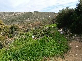 SECTOR 14B 5