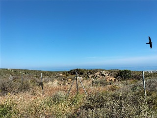 SECTOR 14B 9