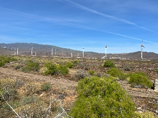 De Balos en el Vecindario 4
