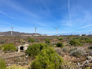 De Balos en el Vecindario 5
