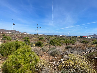De Balos en el Vecindario 6