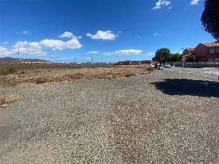 De Balos en el Vecindario 10