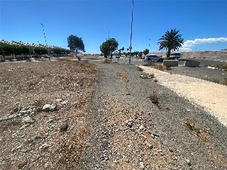 De Balos en el Vecindario 11