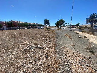 De Balos en el Vecindario 12