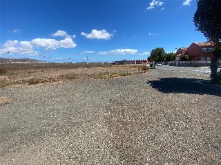 De Balos en el Vecindario 14