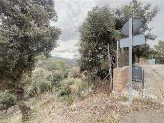 CAMI DE PUIG CODINA 21