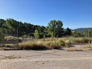 Vega de la Selva 4