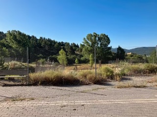 Vega de la Selva 5