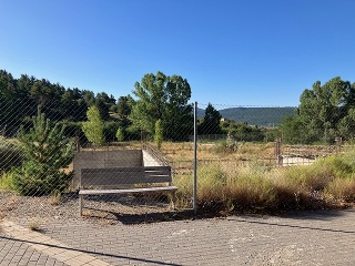 Vega de la Selva 6