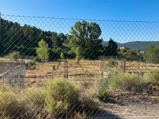 Vega de la Selva 12