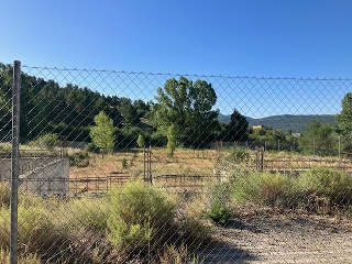 Vega de la Selva 14