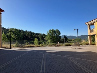Vega de la Selva 15