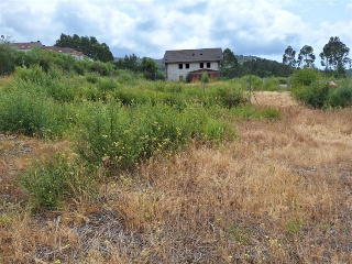 PAZO (DO) SUELO POLÍGONO 325 PARCELA 8
