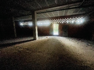 ANTONIO NIETO FIGUEROA 7