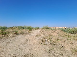 Pisos banco Torrejón de Velasco