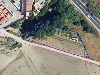 Pisos banco Palma del Condado (La)