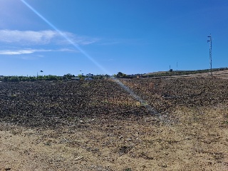 Los Tejares 8