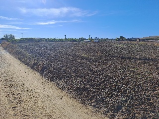 Los Tejares 9