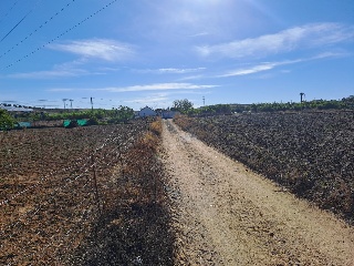 Los Tejares 12