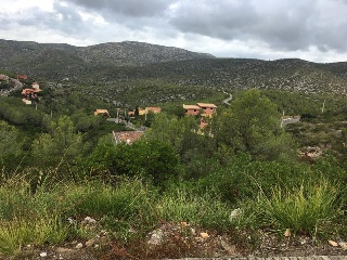 GREGAL, URBANIZACION PALACION NOVELLA, PARCELA 180 3