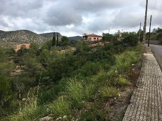 GREGAL, URBANIZACION PALACION NOVELLA, PARCELA 180 4