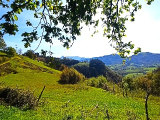 DISEMINADO - CASERIO ZELAUNDI 2