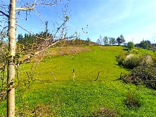 DISEMINADO - CASERIO ZELAUNDI 6