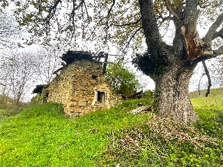 DISEMINADO - CASERIO ZELAUNDI 7