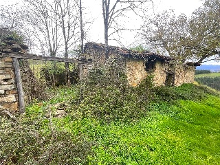 DISEMINADO - CASERIO ZELAUNDI 8