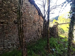 DISEMINADO - CASERIO ZELAUNDI 10