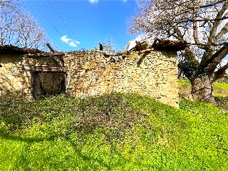DISEMINADO - CASERIO ZELAUNDI 18