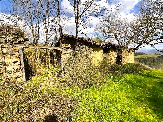 DISEMINADO - CASERIO ZELAUNDI 20