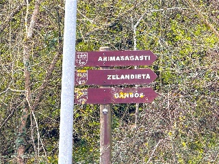 DISEMINADO - CASERIO ZELAUNDI 30