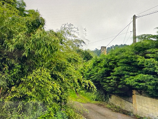 Barniella-Granda.Polígono 99 Parcela 6